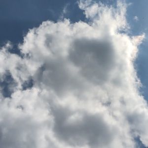 Meet your Posher, Ariana